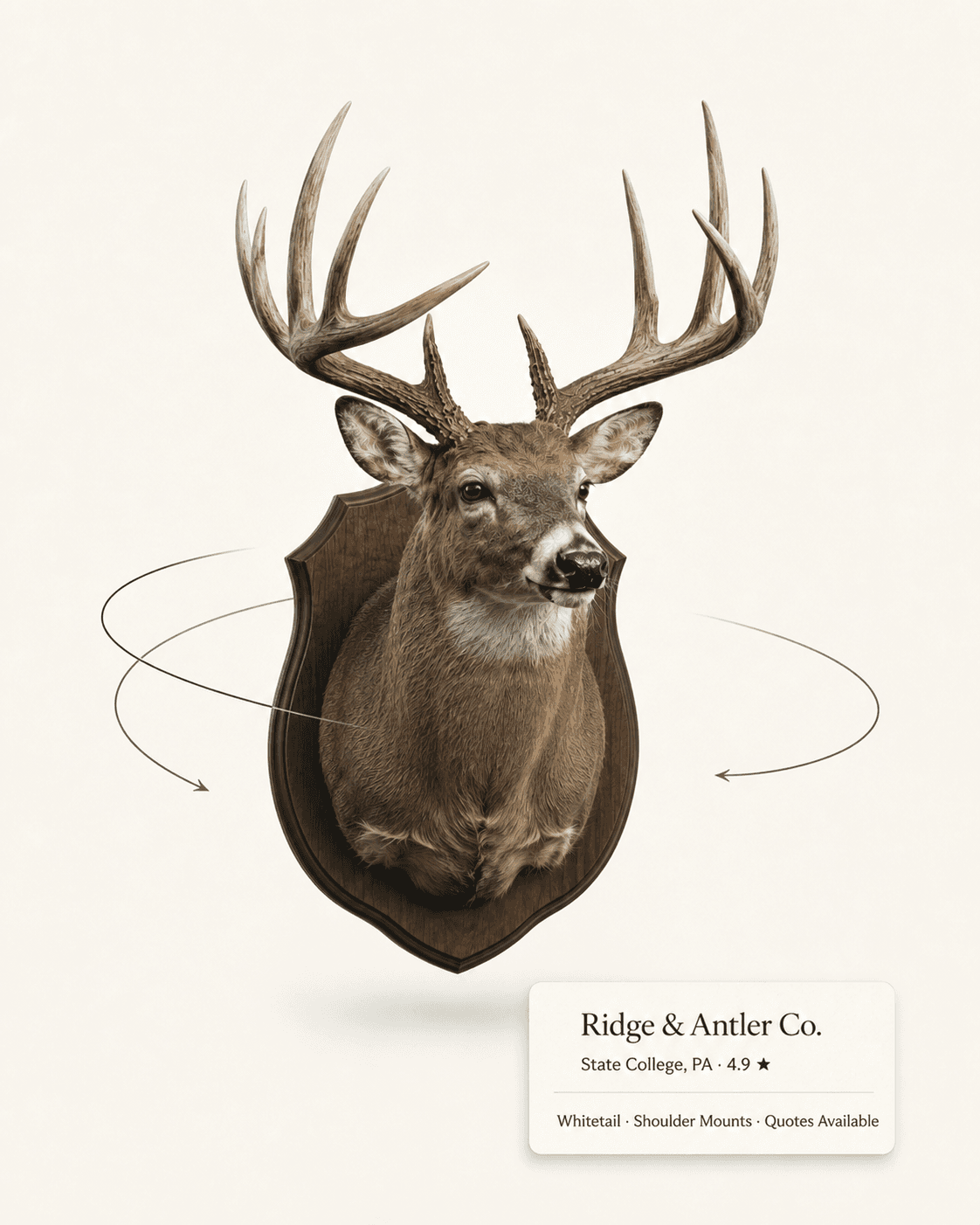 Whitetail deer shoulder mount by Ridge & Antler Co., a featured taxidermy studio in State College, Pennsylvania